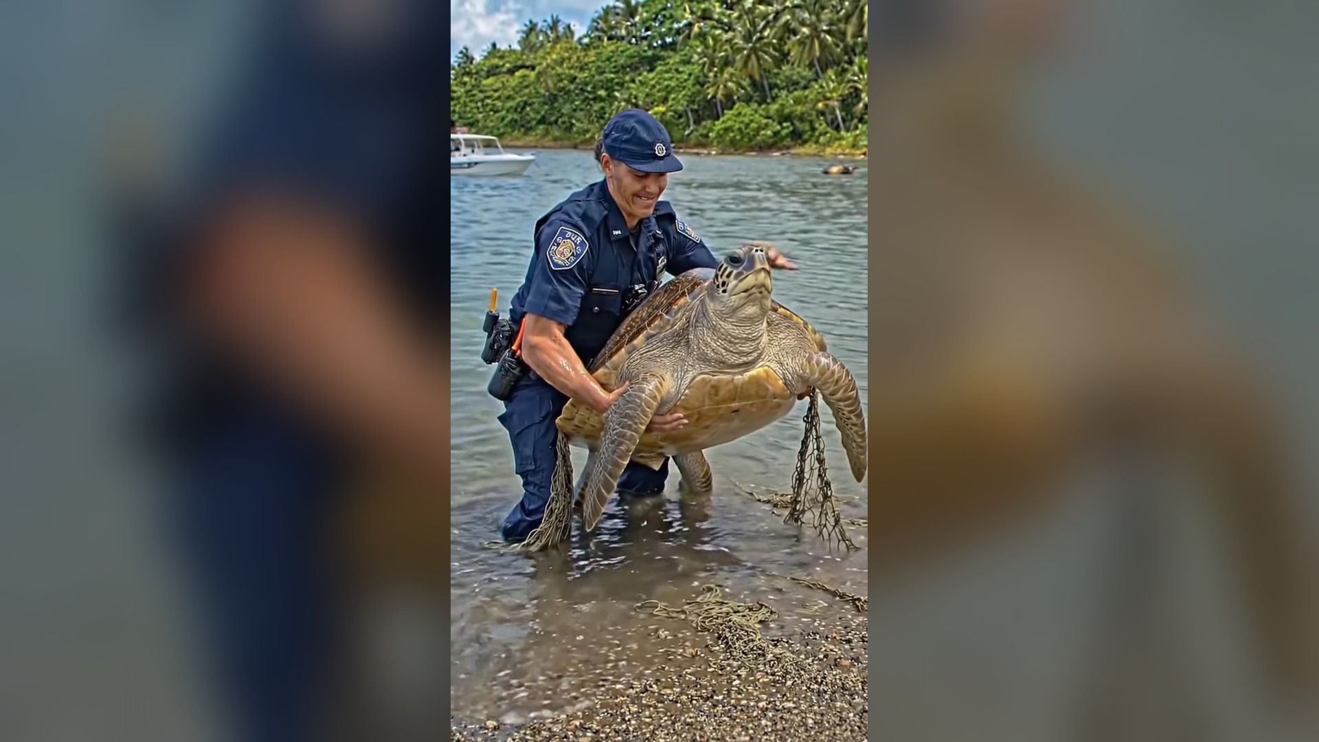 D0806022_6.4K views reactions Eagles Were About to Eat Turtle Then Police Hero Appeared! Did rescue touch your heart #TurtleResc