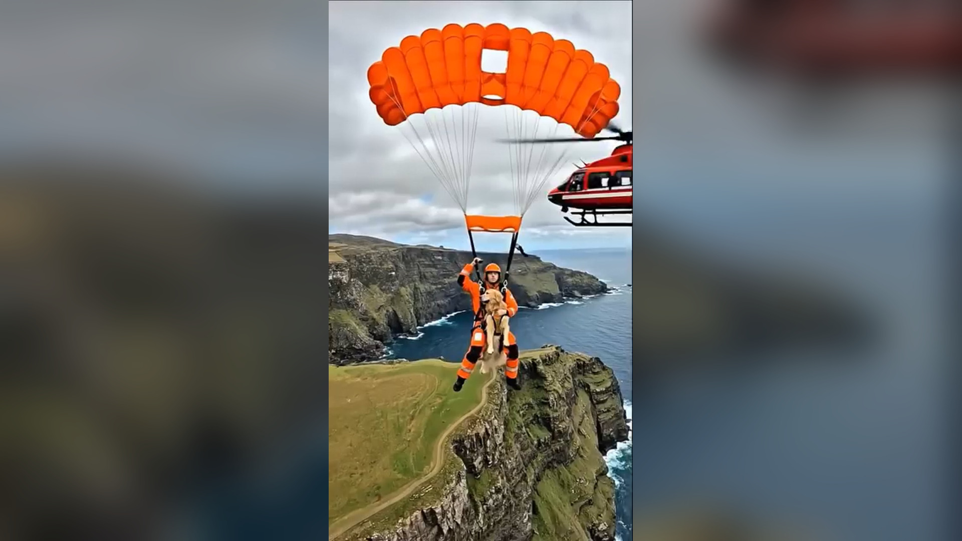 D0806061_261K views 1.7K reactions Golden Retriever Saves Flight Paramedic #rescue #dog #goldenretriever #save #helicopter Paw D