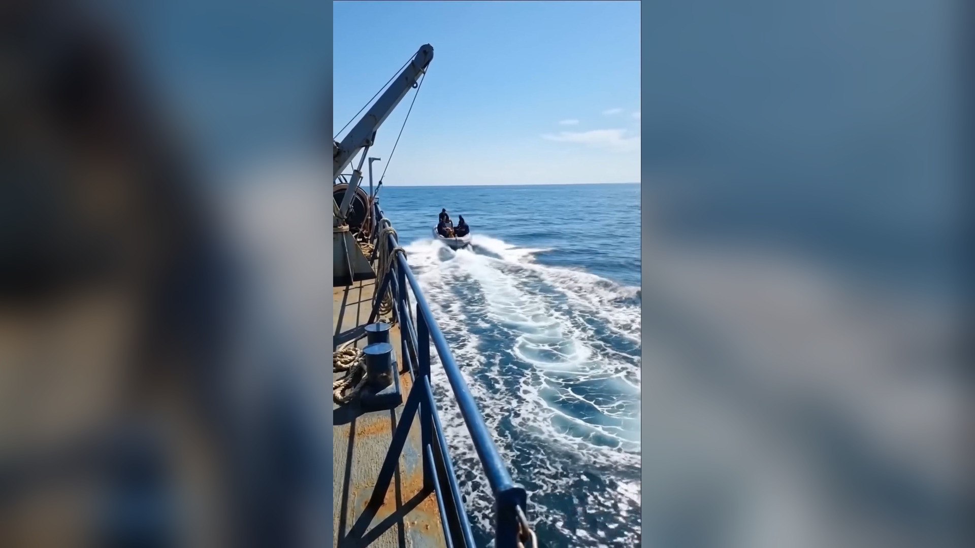 D0806064_585K views 5.6K reactions Golden Retriever Rescue Ship Crew #rescue #dog #goldenretriever #animals #ship #reel #viralreel #labrador #animals #shorts Paw Dazzle_part 2
